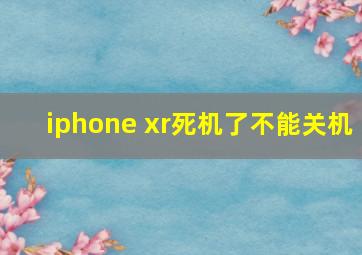 iphone xr死机了不能关机